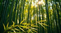 bamboo viscose sustainability facts
