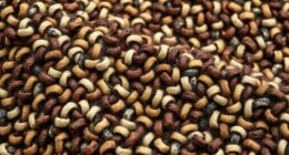 textured fabric descriptions