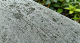 prevent outdoor fabric mildew