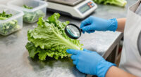 What Really Caused The Cyclospora Outbreak?
